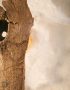 detail-1-sun-eye