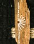 detail 4